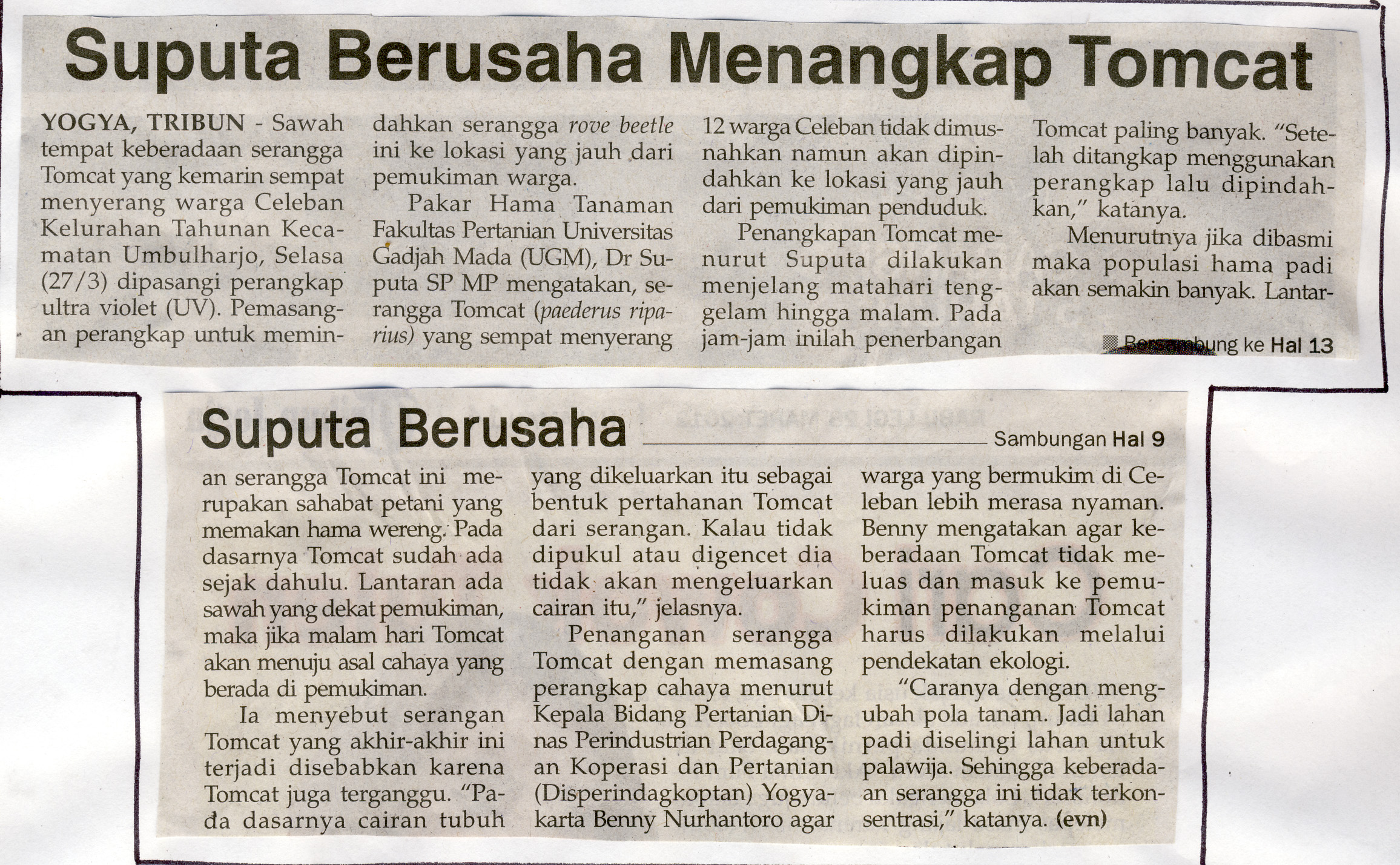 Kliping jogja terbaru